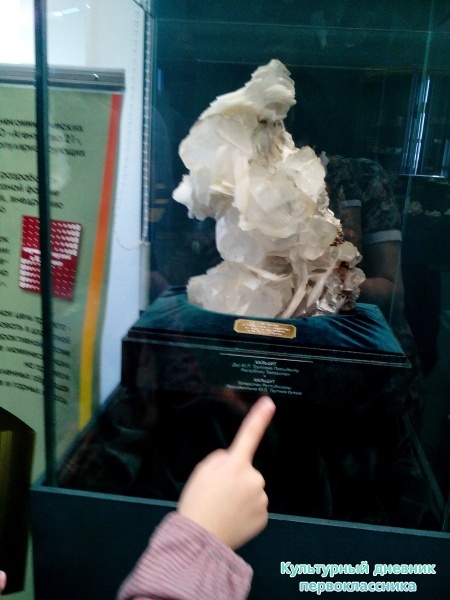 Музей естейственной истории Татарстана