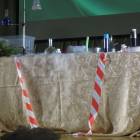 DSCN5703.JPG