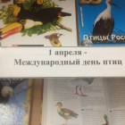 IMG_3796.JPG