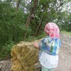 DSCN0338.JPG