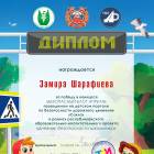 Замира Шарафиева 2