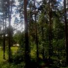 DSCN0387.JPG