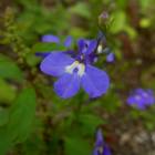 DSCN0575.JPG