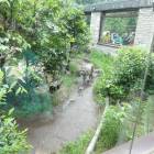 DSC05979.JPG