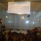 DSC05968.JPG
