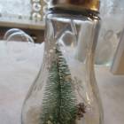 DSCN6894.JPG