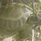 DSCN0399.JPG