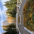 IMG_5786.JPG