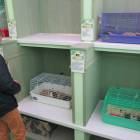 Детский технопарк Кванториум в Альметьевске152503