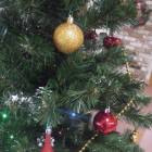 DSCN5524.JPG