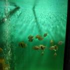 IMG_20171112_185233
