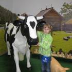 IMG_5337.JPG