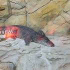 IMG_20171112_184750