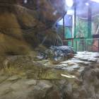 IMG_20171112_191417