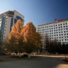 Старый и новый Альметьевск8559