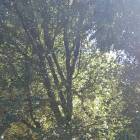 20180815_150913