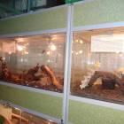 DSC05966.JPG