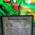 Мир динозавров. ТРЦ Италмас.63519
