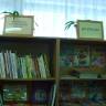 DSC09552.JPG