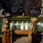 DSCN0486.JPG