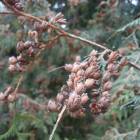 DSCN5055.JPG