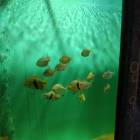 IMG_20171112_185230_1