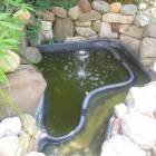 DSCN0535.JPG