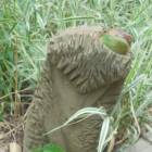 DSCN0375.JPG