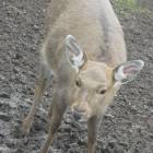 DSCN4898.JPG