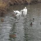 DSCN4926.JPG