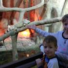 IMG_20171112_184826