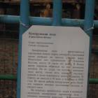 DSCN4954.JPG