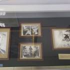 IMG_20171014_151218
