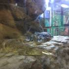 IMG_20171112_191420
