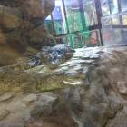 IMG_20171112_191440