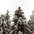 IMG-20171207-WA0004
