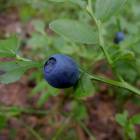 DSCN0597.JPG