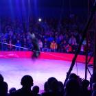 DSC07420.JPG