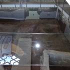 DSC05508.JPG