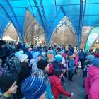 дружно на зеленый фитнес90256