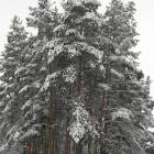 IMG_20171206_134543