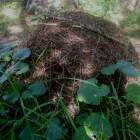 DSCN1620.JPG