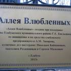 IMG_2724.JPG