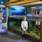 IMG_20171112_192425