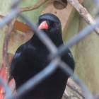 DSCN5031.JPG
