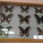 DSCN0436.JPG