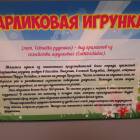 КК№46.Парк тропических бабочек.62377