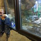 IMG_20171112_192140