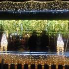 DSCN6753.JPG
