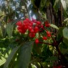 DSCN1676.JPG